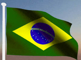 Imagem_004.gif