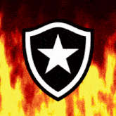 Imagem_010.gif