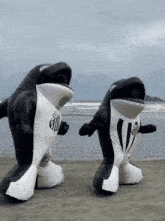 Imagem_025.gif