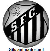 Imagem_027.gif