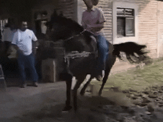 Dança_068.gif