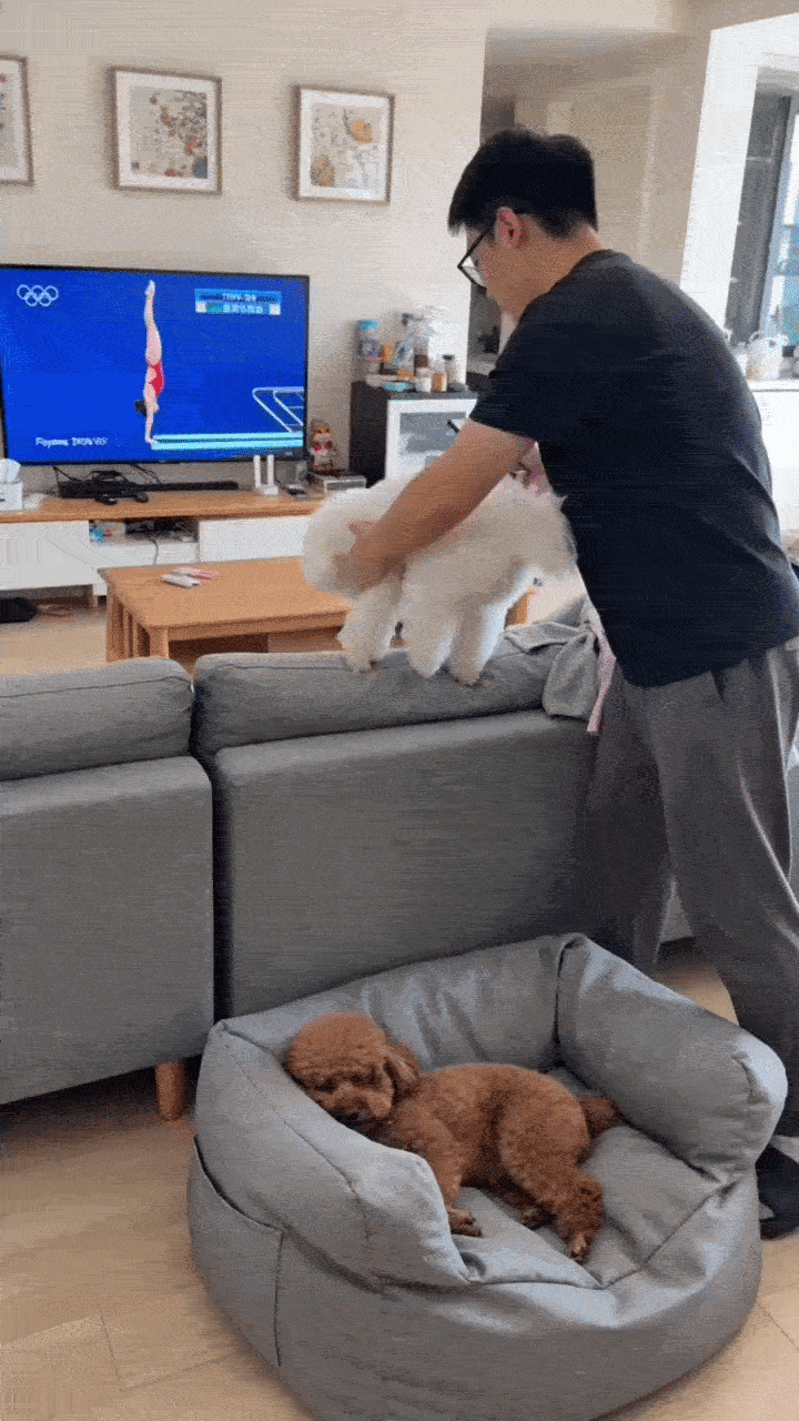 Dança_0006.gif