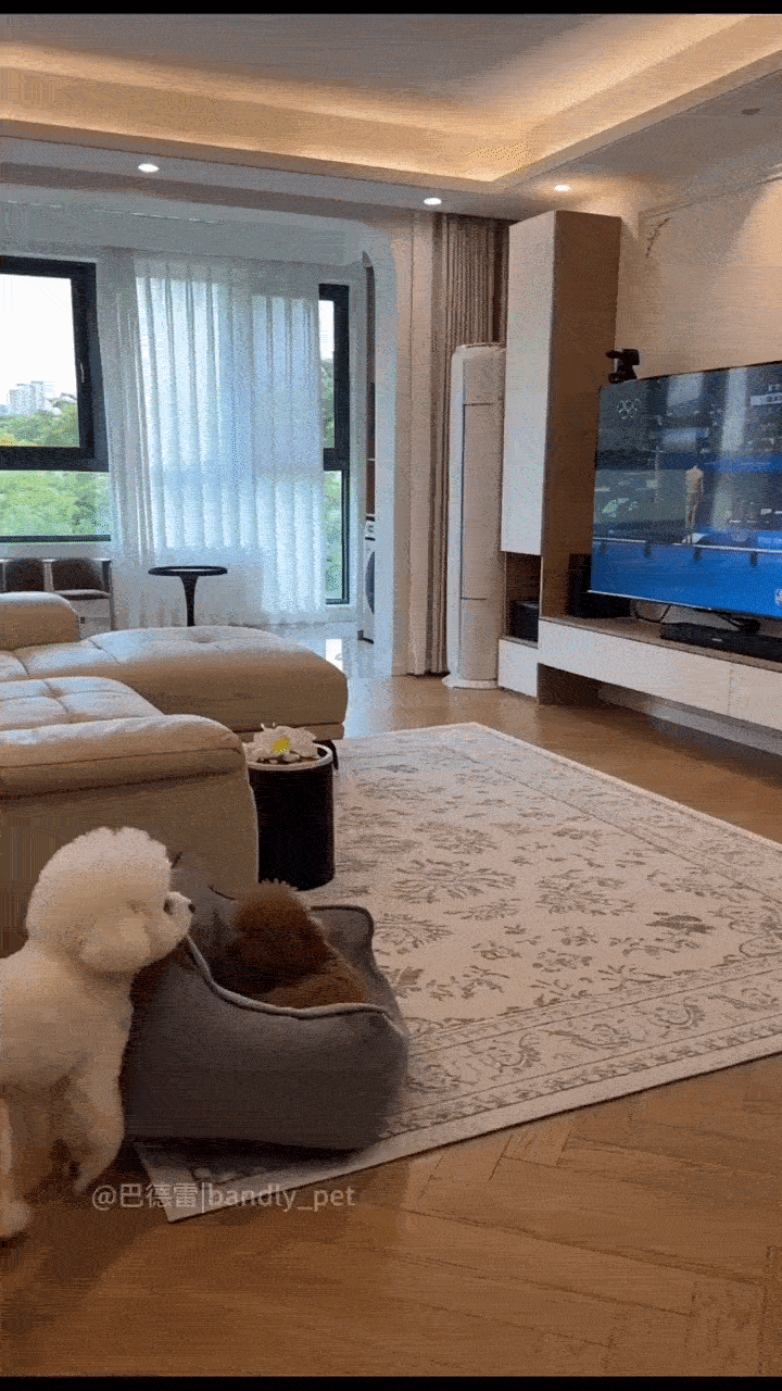 Dança_0010.gif