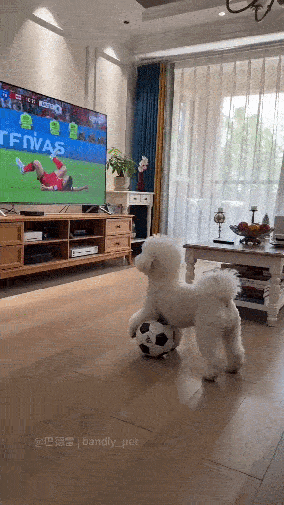 Dança_0015.gif
