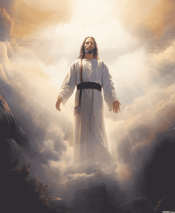 Imagem_0246.gif