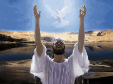 Imagem_0260.gif