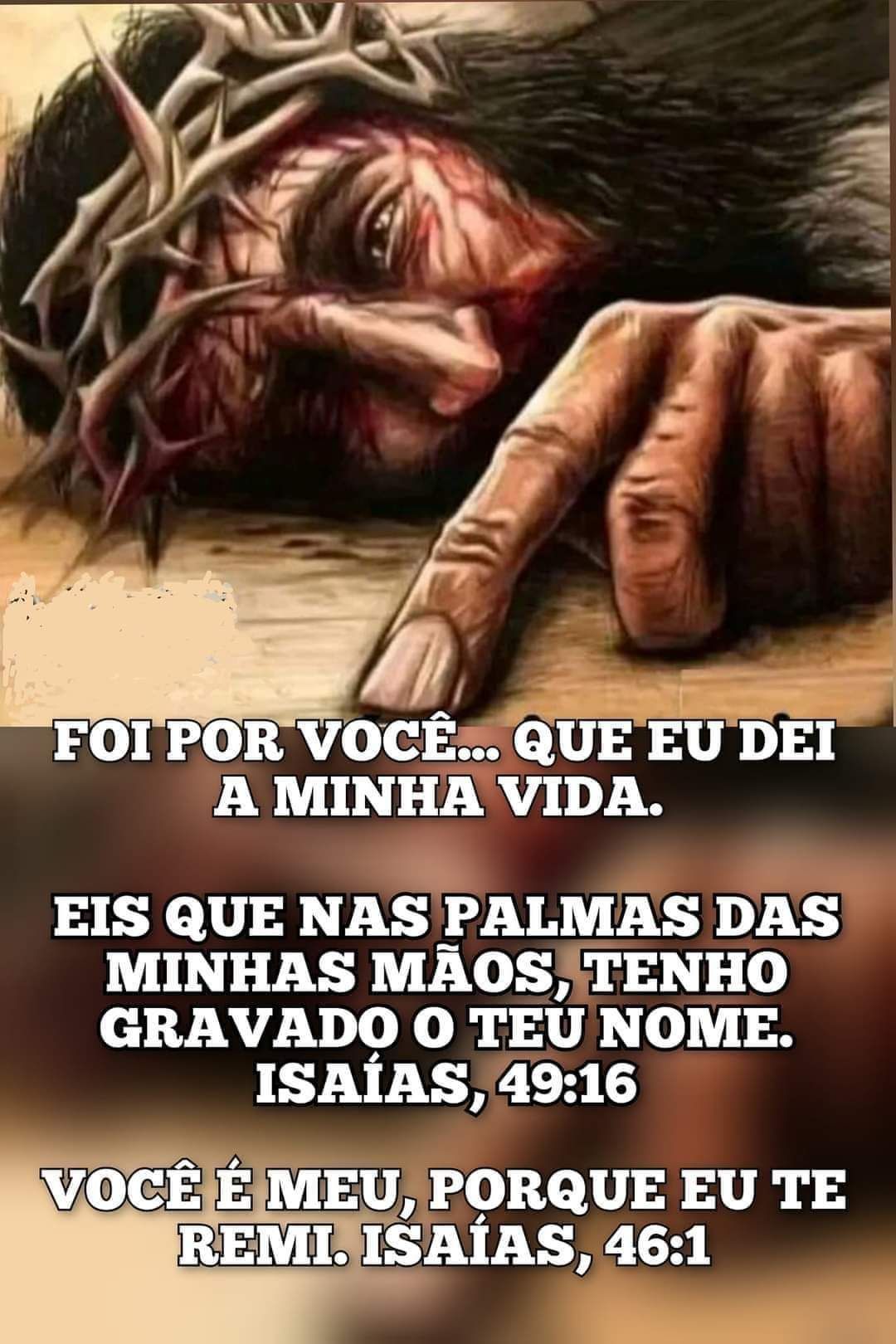 Imagem_0287.jpg
