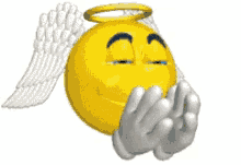 Imagem_0328.gif