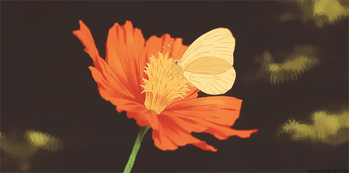 Rosas_161.gif