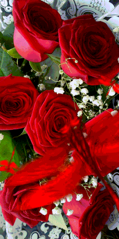 Rosas_164.gif