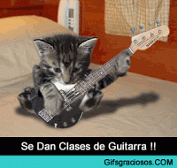 Gatos_003.gif