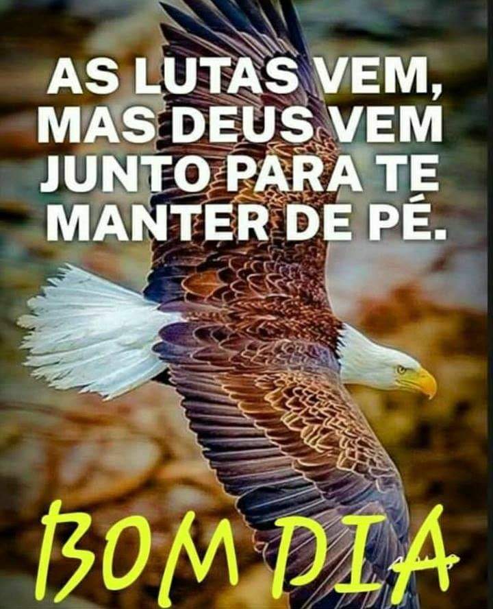 Bom_Dia_013.gif