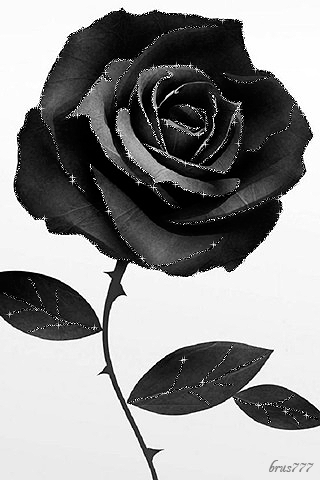Rosas_005.gif