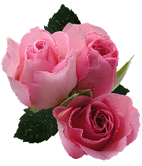 Rosas_051.gif