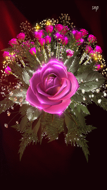 Rosas_078.gif