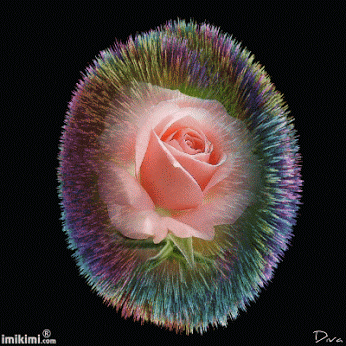 Rosas_156.gif