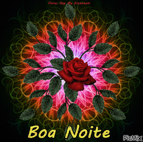 Boa_Noite_009.gif