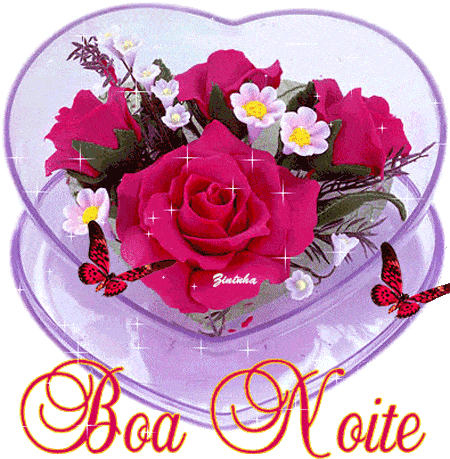 Boa_Noite_023.gif